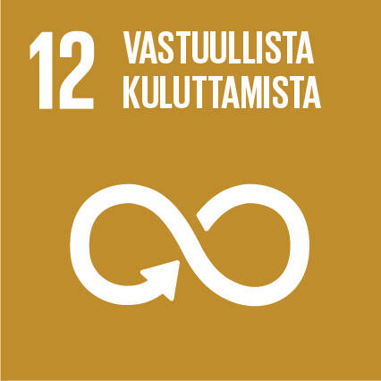 Kestävän kehityksen tavoitteet_FI_12